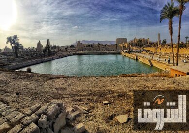 تصوير: محمد راشد